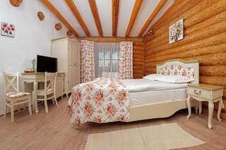 Курортные отели Conacul Maria Theresa Orlat Двухместный номер с 1 кроватью-1